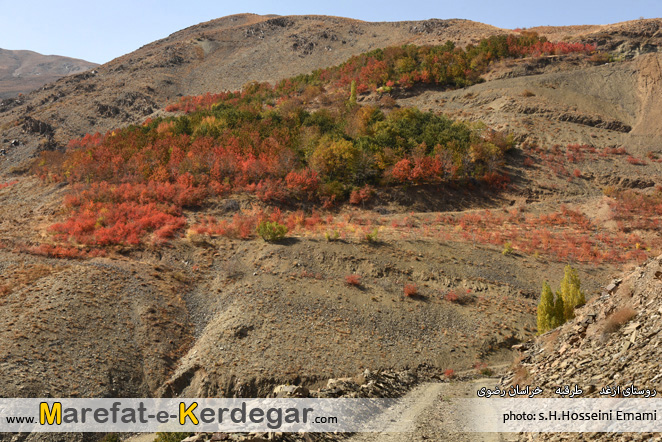 روستاهای طرقبه