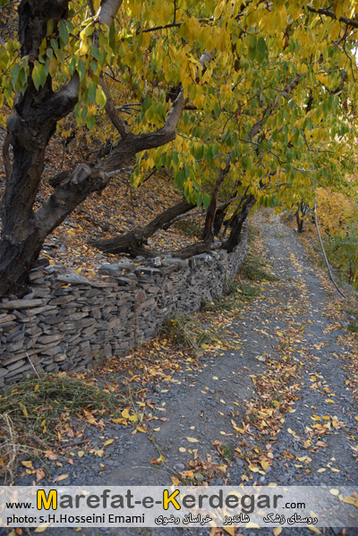 روستای زشک