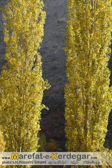 روستای ازغد