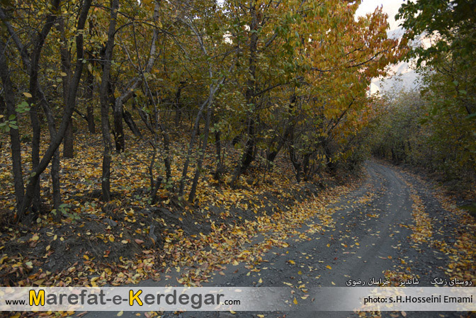 طبیعت روستای زشک