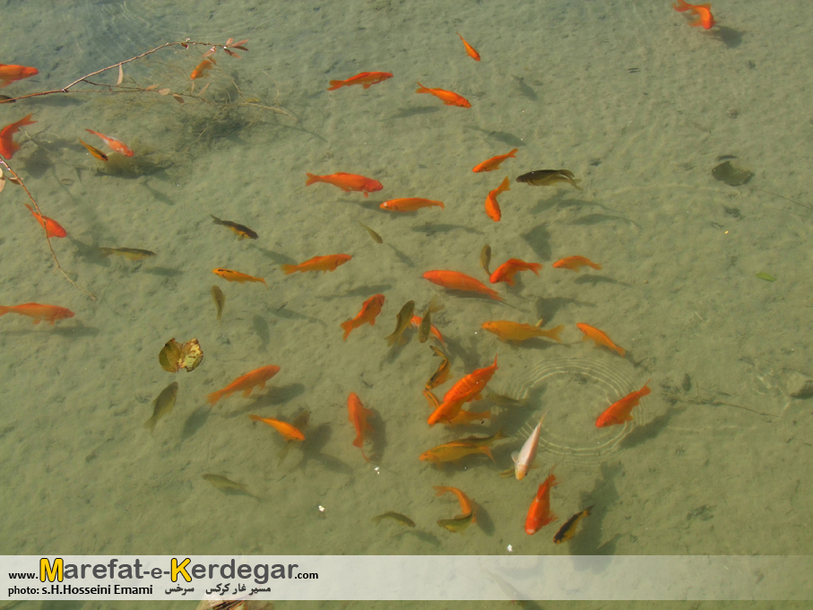 طبیعت بزنگان طبیعت بزنگان
