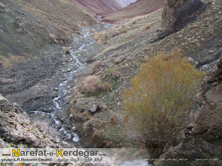 رودخانه های تربت حیدریه رودخانه های تربت حیدریه