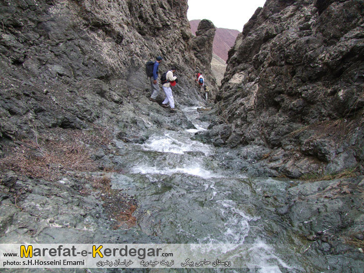 طبیعت بهاری تربت حیدریه طبیعت بهاری تربت حیدریه