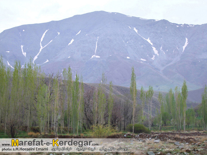 طبیعت تربت حیدریه طبیعت تربت حیدریه