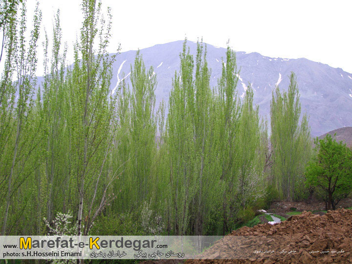 طبیعت تربت حیدریه طبیعت تربت حیدریه