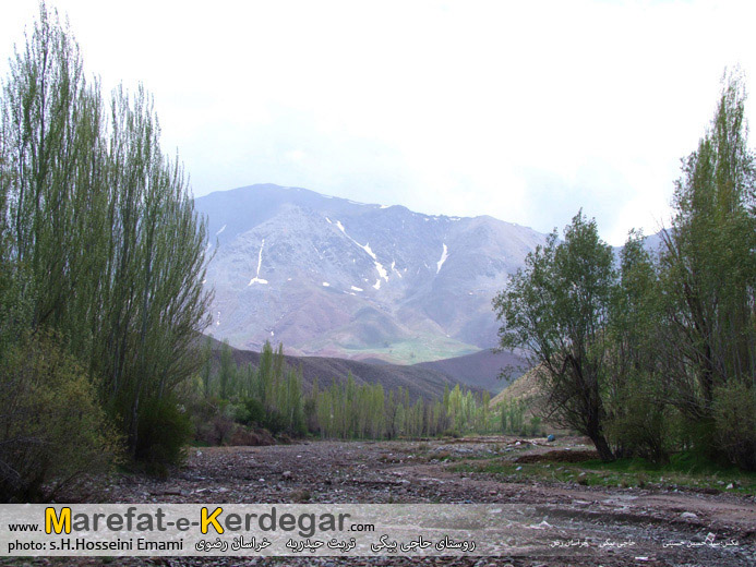 روستاهای تربت حیدریه