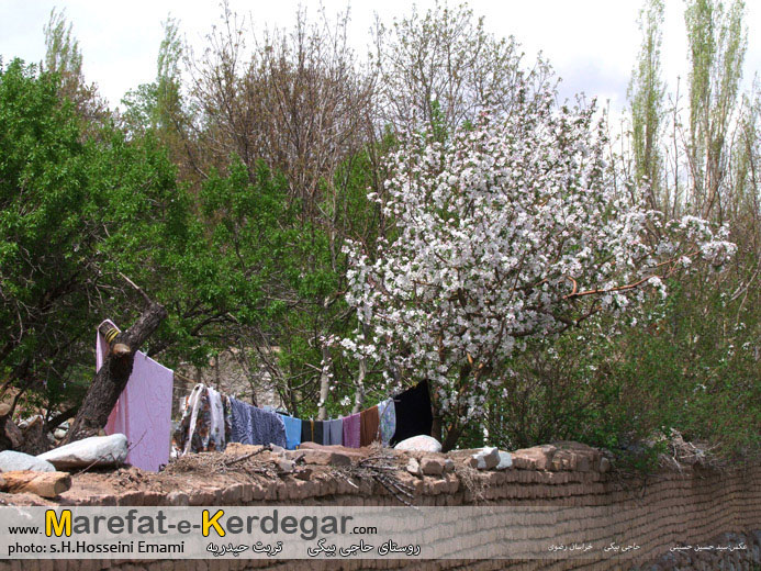 روستاهای تربت حیدریه روستاهای تربت حیدریه