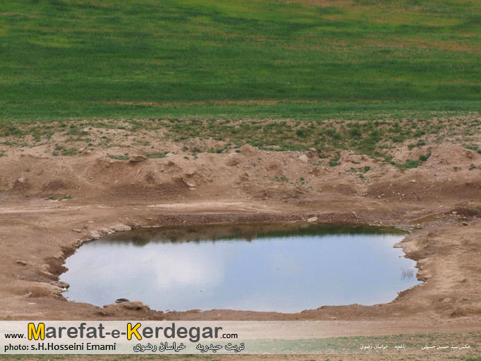 جاهای دیدنی تربت حیدریه جاهای دیدنی تربت حیدریه