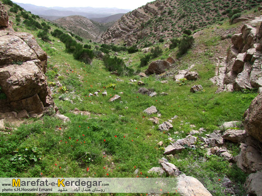 روستای هندل آباد