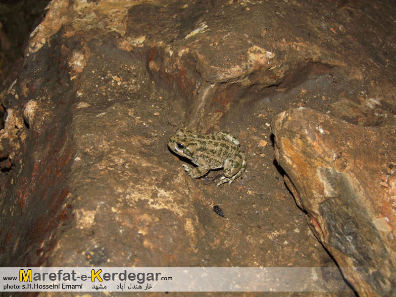 جاهای دیدنی استان خراسان رضوی جاهای دیدنی استان خراسان رضوی