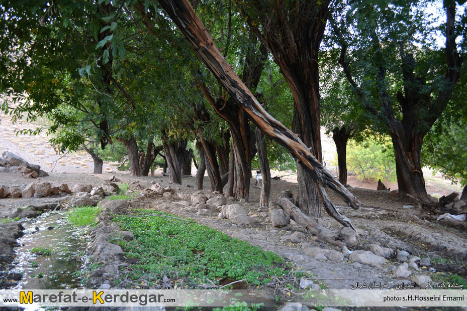 چشمه گنده گو چشمه گنده گو