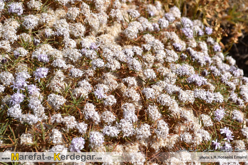 مکان های دیدنی اسفراین مکان های دیدنی اسفراین