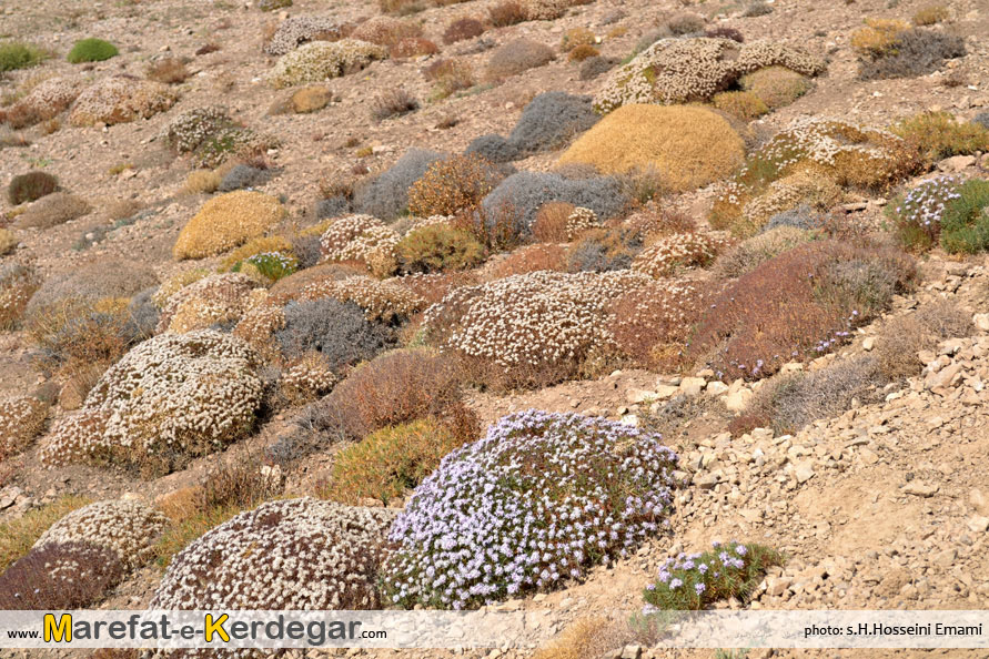 دیدنی های اسفراین دیدنی های اسفراین