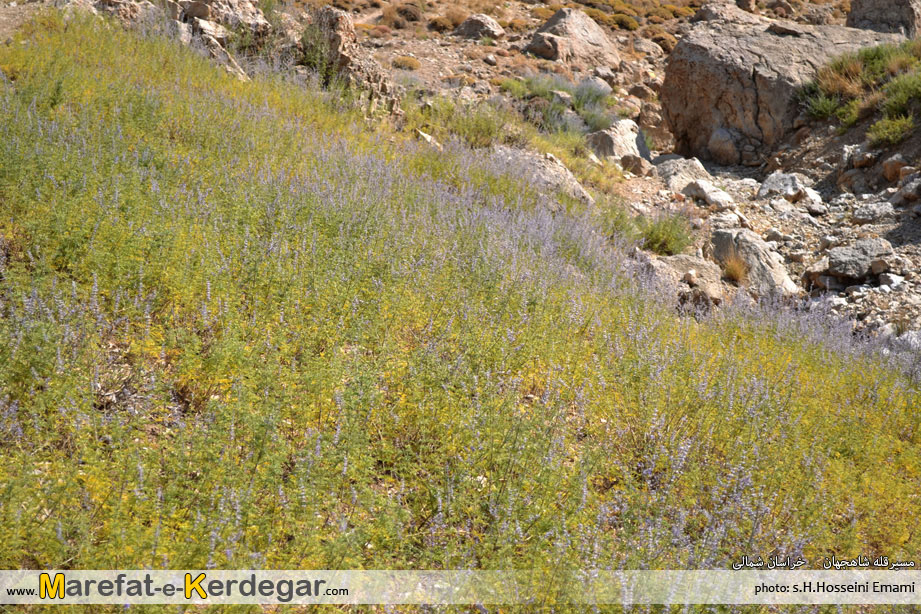 کوهنوردی در خراسان شمالی کوهنوردی در خراسان شمالی