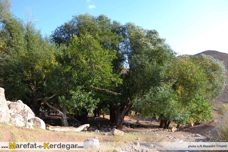 چشمه گنده گو چشمه گنده گو