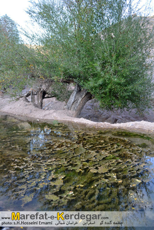 چشمه های اسفراین چشمه های اسفراین