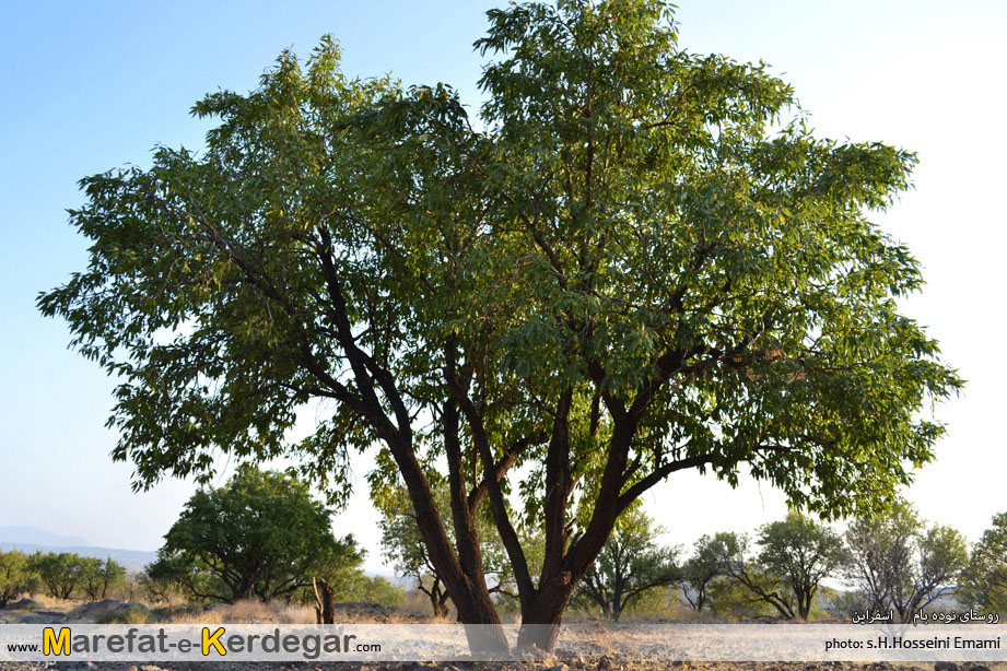 چشمه های اسفراین چشمه های اسفراین