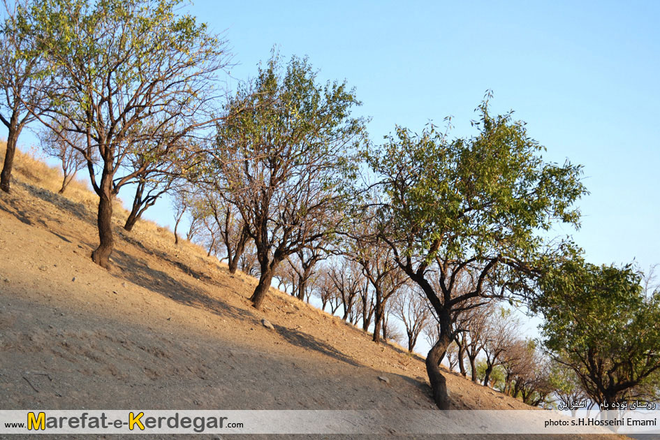 روستای نوده بام روستای نوده بام