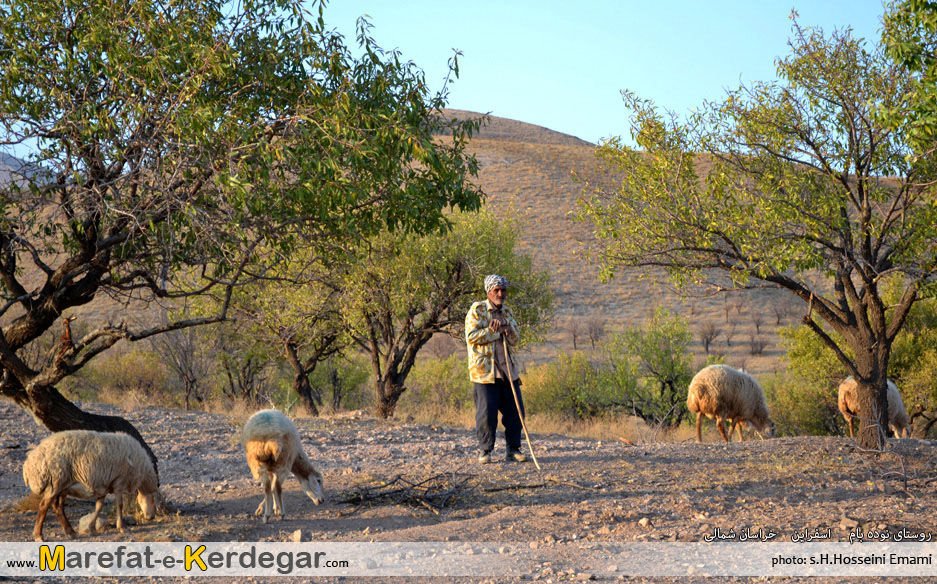 روستای نوده بام روستای نوده بام