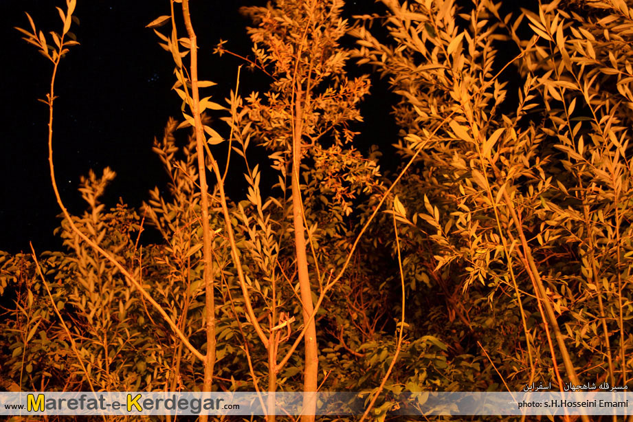 شب مانی در قله شاه جهان شب مانی در قله شاه جهان