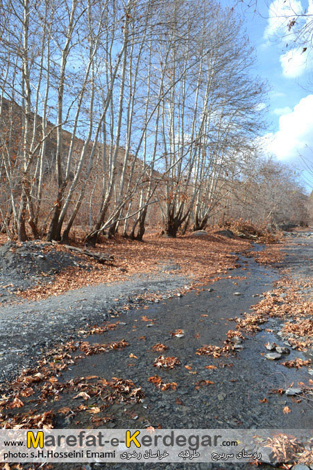 طبیعت اطراف مشهد