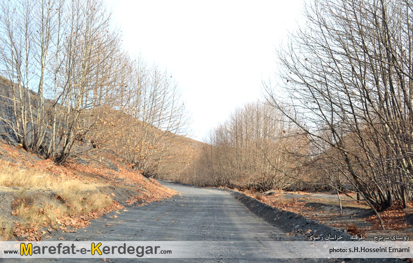جاده خاکی روستایی جاده خاکی روستایی