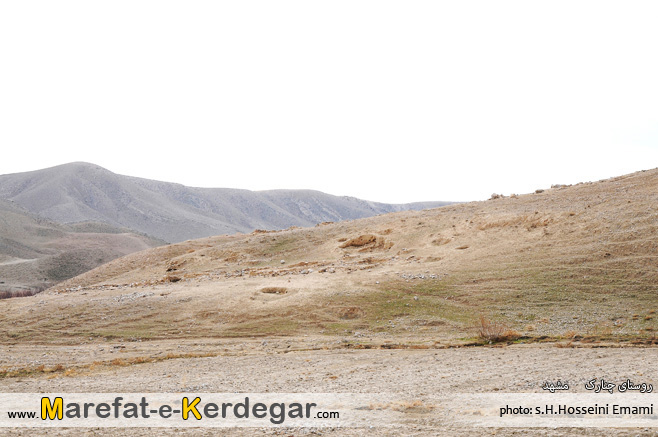 تپه چنارک تپه چنارک