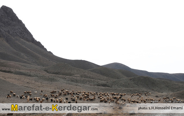 روستای چنارک مشهد