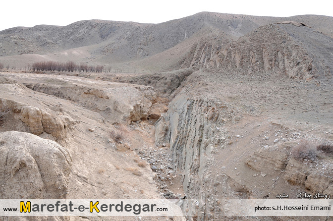 روستای چنارک روستای چنارک