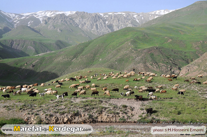دشت دریوک دشت دریوک