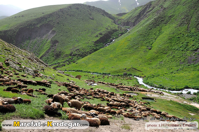 مرتع دنگ مرتع دنگ