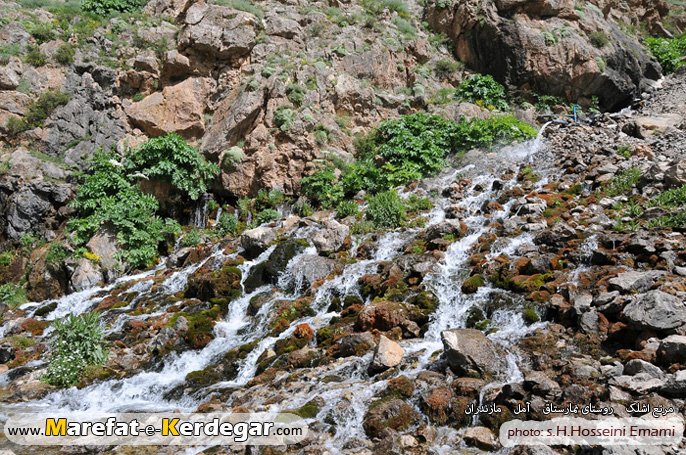 مرتع اشلک مرتع اشلک