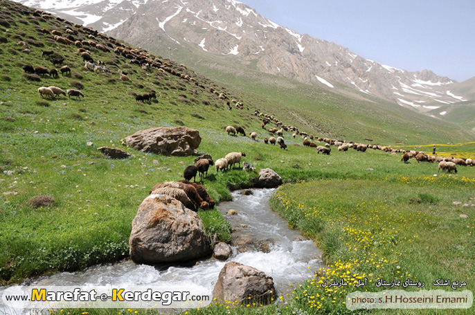 مرتع اشلک مرتع اشلک