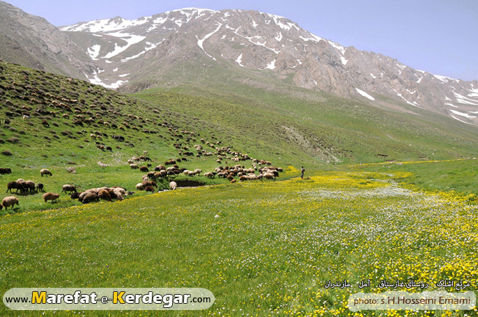 دشت لهرا دشت لهرا