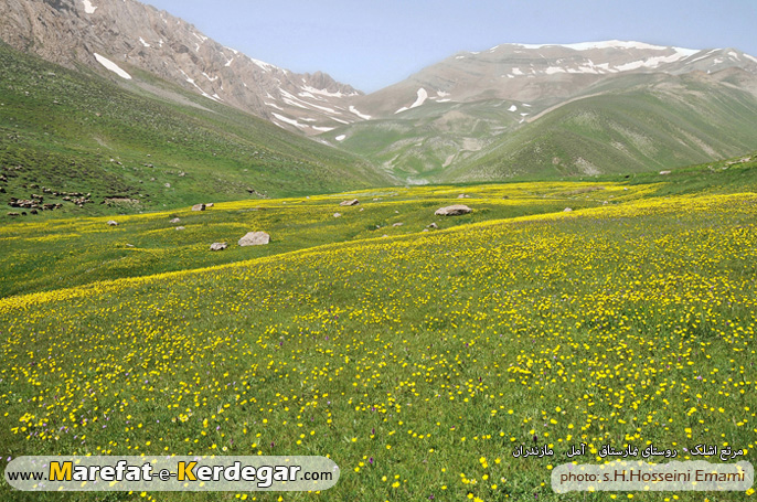 دشت لهرا دشت لهرا