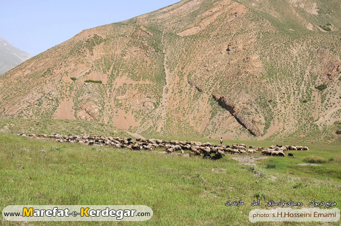 دشت دریوک دشت دریوک