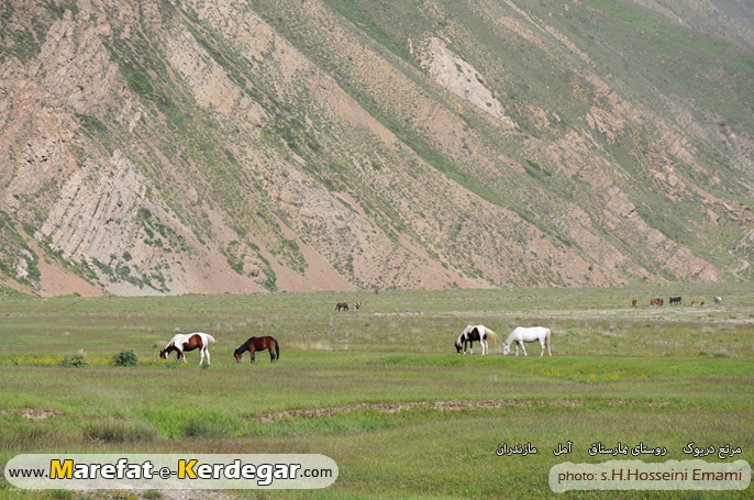 دشت دریوک دشت دریوک