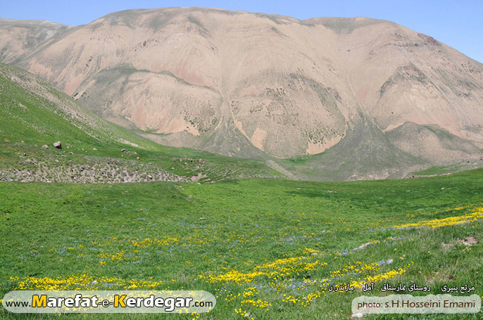 مرتع پنیری مرتع پنیری