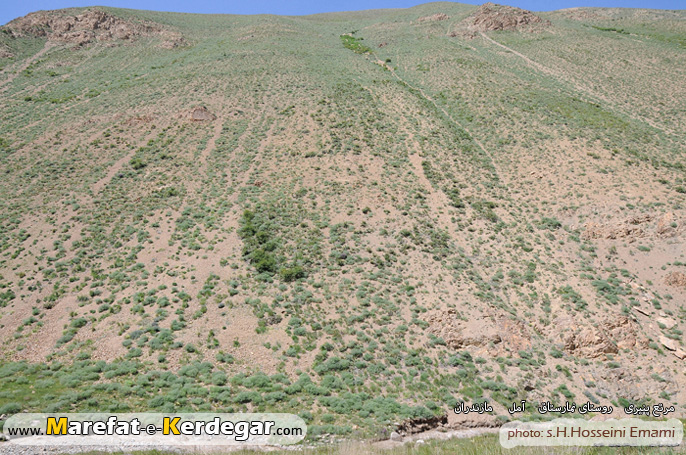 جغرافیای شهرستان آمل جغرافیای شهرستان آمل