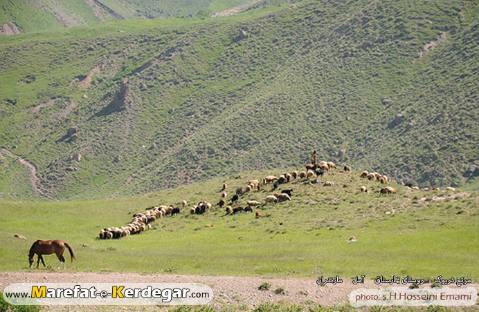 مرتع دریوک مرتع دریوک