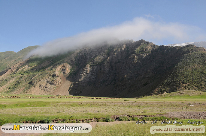 مرتع های شمال مرتع های شمال