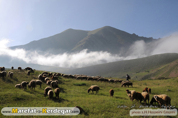 دشت دریوک دشت دریوک