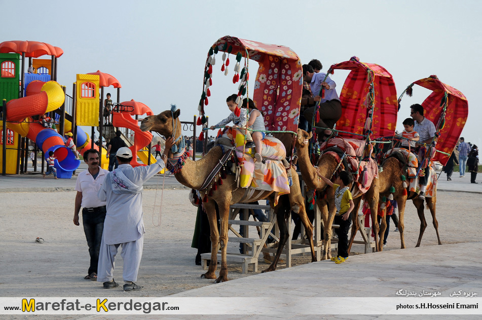 شترسواری جزیره کیش