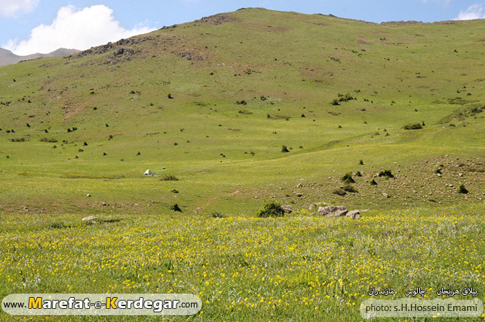 روستای هریجان