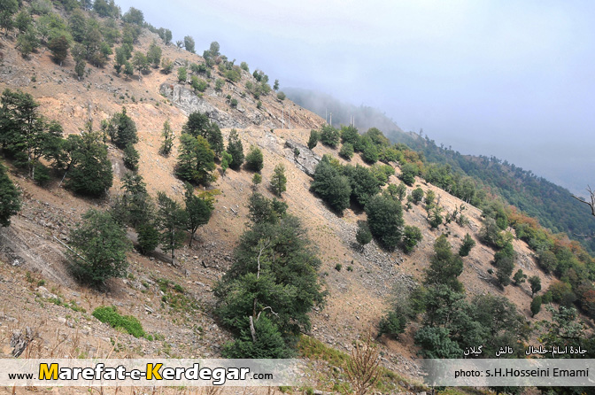 گردشگری تالش