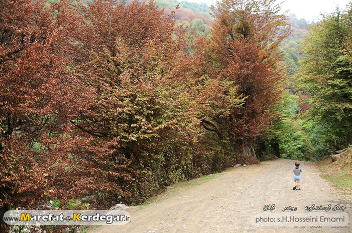 دیدنی های اشکورات دیدنی های اشکورات