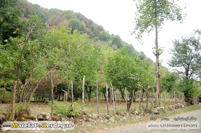 دیدنی های اشکورات دیدنی های اشکورات