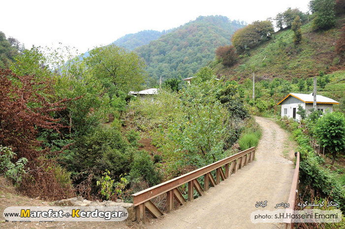 روستای گوسفندگویه روستای گوسفندگویه
