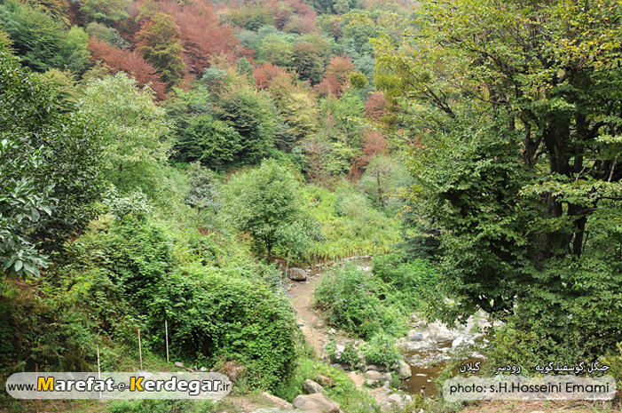 روستای گوسفندگویه روستای گوسفندگویه