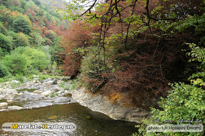 طبیعت اشکورات طبیعت اشکورات